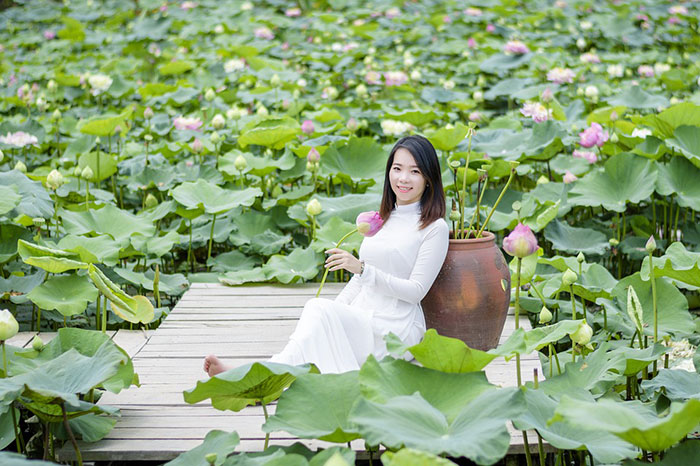 Culture Vietnam lotus